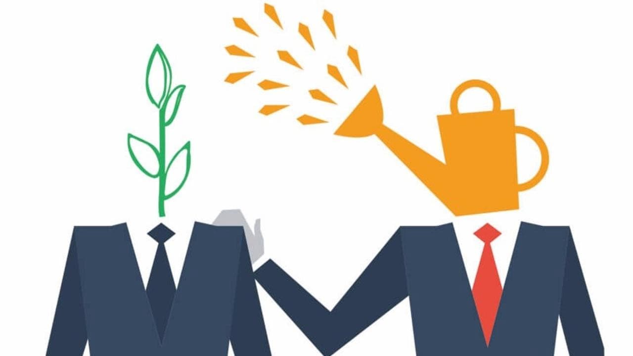 Mentorship Opportunities